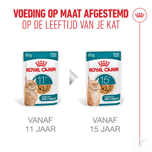 Royal Canin Feline Health Nutrition Ageing 11+ In Jelly 12x85g-6