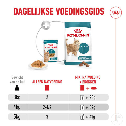 Royal Canin Feline Health Nutrition Ageing 11+ In Jelly 12x85g-9