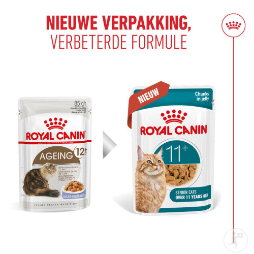Royal Canin Feline Health Nutrition Ageing 11+ In Jelly 12x85g-10