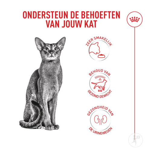 Royal Canin Feline Health Nutrition Fussy Exigent 10kg-2