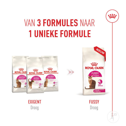 Royal Canin Feline Health Nutrition Fussy Exigent 10kg-8