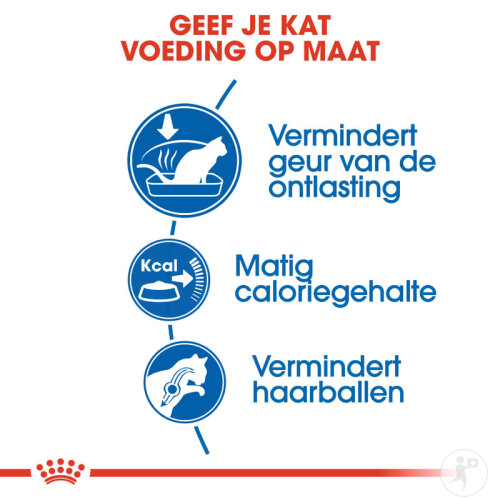 Royal Canin Feline Health Nutrition Indoor 4kg-4