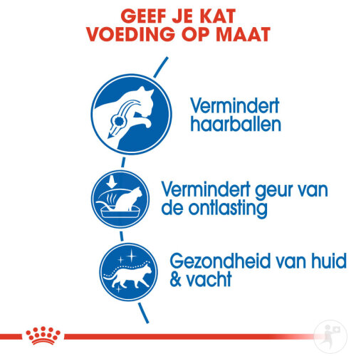 Royal Canin Feline Health Nutrition Indoor Long Hair 2kg-3