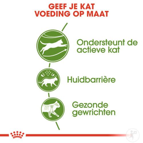 Royal Canin Feline Health Nutrition Outdoor 10kg-4