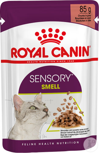 Royal Canin Feline Health Nutrition Sensory Smell In Gravy 12x85g