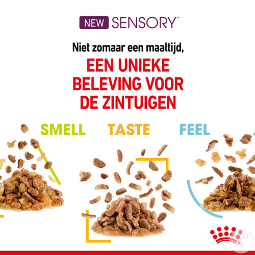 Royal Canin Feline Health Nutrition Sensory Taste In Gravy 12x85g-4