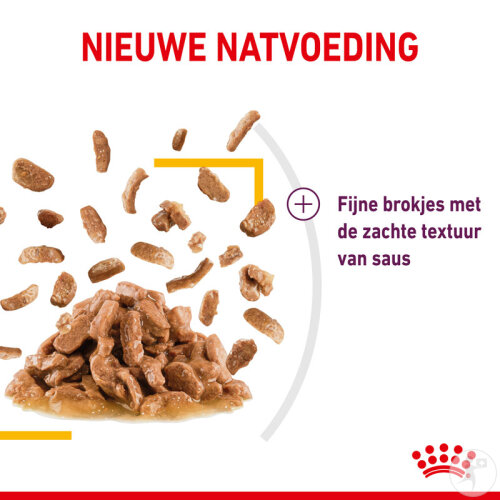 Royal Canin Feline Health Nutrition Sensory Taste In Gravy 12x85g-5