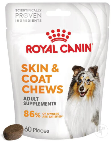 Royal Canin Hund Skin & Coat Ergänzung 5x240g