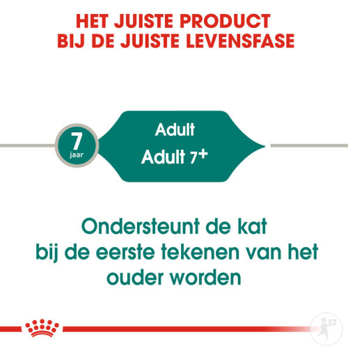 Royal Canin Instinctive +7 Katzenfutter 12x85g-3