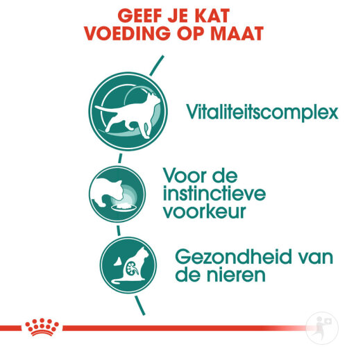 Royal Canin Instinctive +7 Katzenfutter 12x85g-4