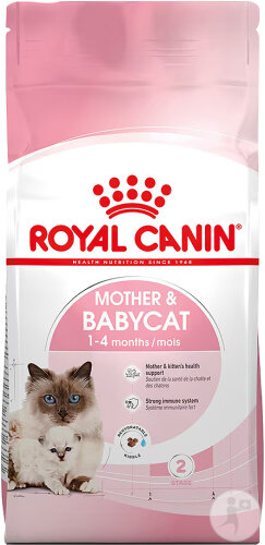 Royal Canin Katze Mother & Babycat Trocken 10kg
