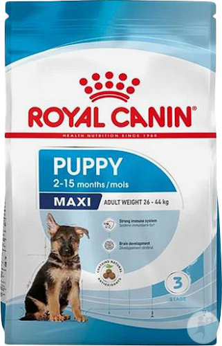 Royal Canin Dog Puppy Maxi Dry 2-15 Monaten Beutel 10kg