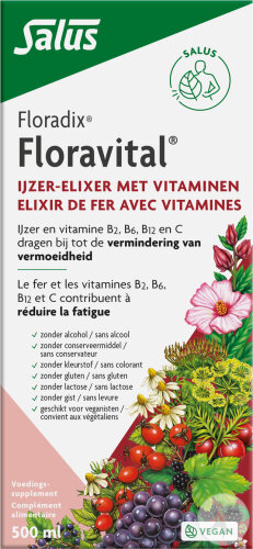 Salus Floradix Floravital/Kräuterblut Floradix Mit Eisen Tonikum 500ml