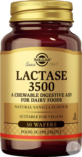 Solgar Lactase 3500 Verdauungsunterstützung Für Milchprodukte 30 Kautabletten