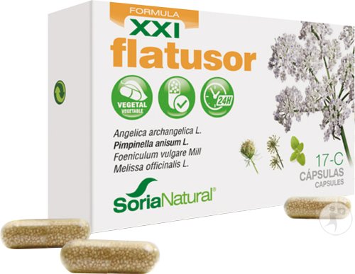 Soria Natural Formel XXI Flatusor 17-C Kapseln 30