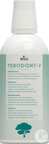 Tebodont-F Mundspülung Flasche 500ml