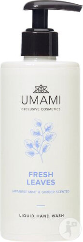 Umami Handwäsche Frische Blätter Pumpflasche 300ml