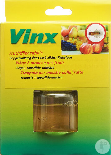 Vinx Fruchtfliegenfalle Mit Klebestreifen 1 Stück