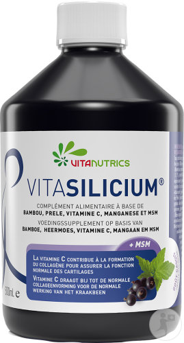 Vitanutrics Vitasilicium Nahrungsergänzungsmittel 500ml