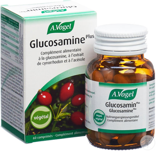 Vogel Glucosamin Plus Tabletten Mit Hagebuttenextrakt 60 Stück 