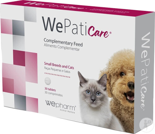 Wepharm WePaticare Small Hunde Und Katzen Antioxidantien Cocktail 30 Tabletten