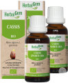 Pack De 2 Herbalgem Cassis Macérât-Mère Concentré Bio Flacon 30ml Promo 