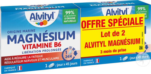 Alvityl Magnésium Vitamine B6 Libération Prolongée 2x45 Comprimés