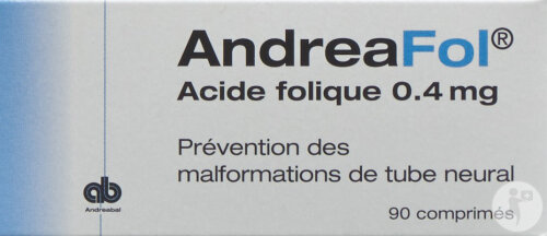 Andreafol Acide Folique 0,4mg 90 Comprimés