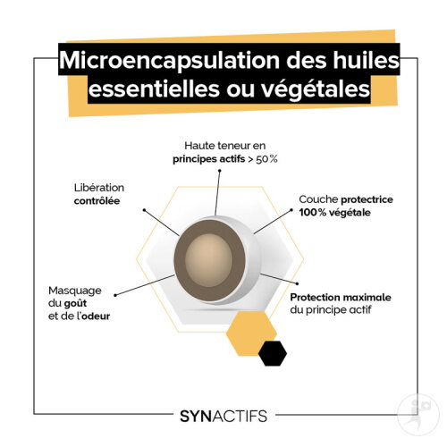 Aragan Synactifs Rhinactifs Bio Respiratoire 10 Gélules-4