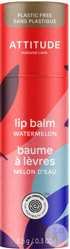 Attitude Baume À Lèvres Melon D’Eau Stick 8,5g