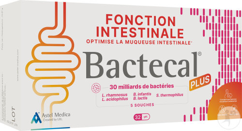 Bactecal Plus Fonction Intestinale Équilibrée Complément Alimentaire 32 Gélules