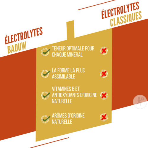 Baouw Pastilles Électrolytes Mangue Ananas 10 Pièces-5