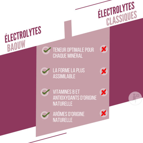 Baouw Pastilles Électrolytes Mûre Cassis 10 Pièces-6