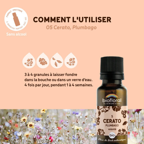 Biofloral 05 Cerato Plumbago Fleur De Bach Granules Bio 19,5g-4