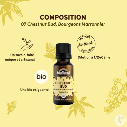 Biofloral 07 Chestnut Bud Bourgeons Marronnier Fleur De Bach Granules Bio 19,5g-3