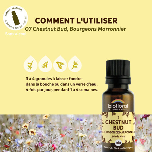 Biofloral 07 Chestnut Bud Bourgeons Marronnier Fleur De Bach Granules Bio 19,5g-4