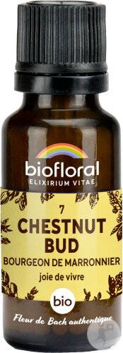 Biofloral 07 Chestnut Bud Bourgeons Marronnier Fleur De Bach Granules Bio 19,5g