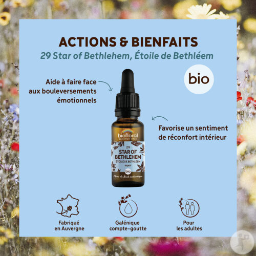 Biofloral 29 Star Of Bethlehem Étoile De Bethleem Fleur De Bach Flacon Compte-Gouttes Bio Demeter 20-2