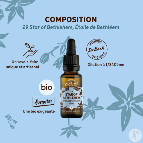 Biofloral 29 Star Of Bethlehem Étoile De Bethleem Fleur De Bach Flacon Compte-Gouttes Bio Demeter 20-3