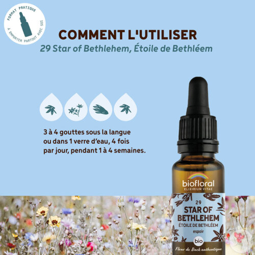 Biofloral 29 Star Of Bethlehem Étoile De Bethleem Fleur De Bach Flacon Compte-Gouttes Bio Demeter 20-4