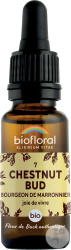 Biofloral Fleurs De Bach 07 Chestnut Bud/Bourgeons Marronnier Vitalité Et Joie De Vivre Bio 20ml