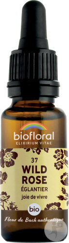 Biofloral Fleurs De Bach 37 Wild Rose/Églantier Vitalité Et Joie De Vivre Bio 20ml