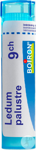 Boiron Ledum Palustre 9CH Granulat 4g