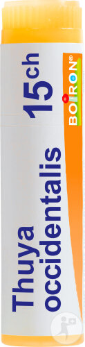 Boiron Thuya Occidentalis 15CH Doses 1g