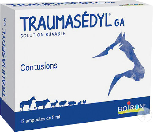 Boiron Traumasedyl GA Contusions Ampoules Buvables 12x5ml