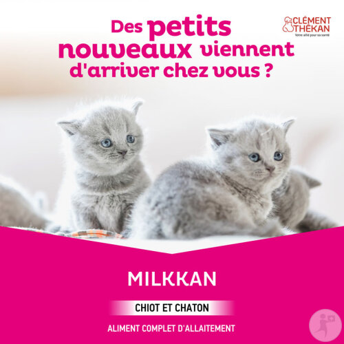 Clément Thékan Lait En Poudre Milkkan Allaitement Des Chiots Et Chatons 400g-2