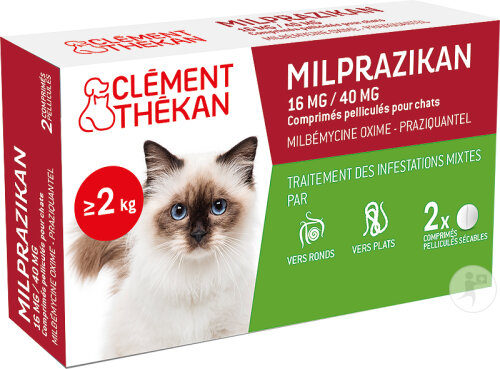 Clément Thékan Milprazikan Chat Traitement Des Vers Plats Et Ronds 2 Comprimés