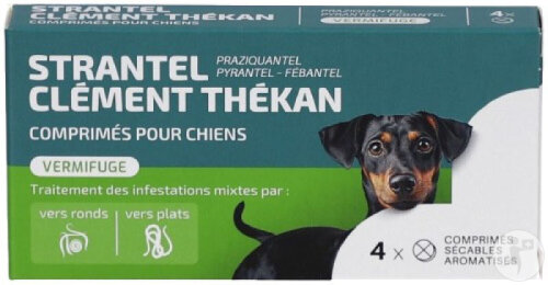 Clément Thékan Vermifuges Chien StranTel Traitement Des Vers Plats Et Ronds 4 Comprimés