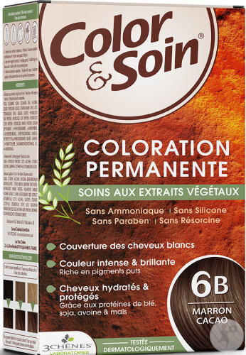 Color & Soin Coloration Permanente Aux Extraits Végétaux 6B Marron Cacao 1 Kit