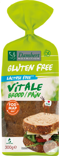 Damhert Sans Gluten Vitale Pain Sans Lactose 300g